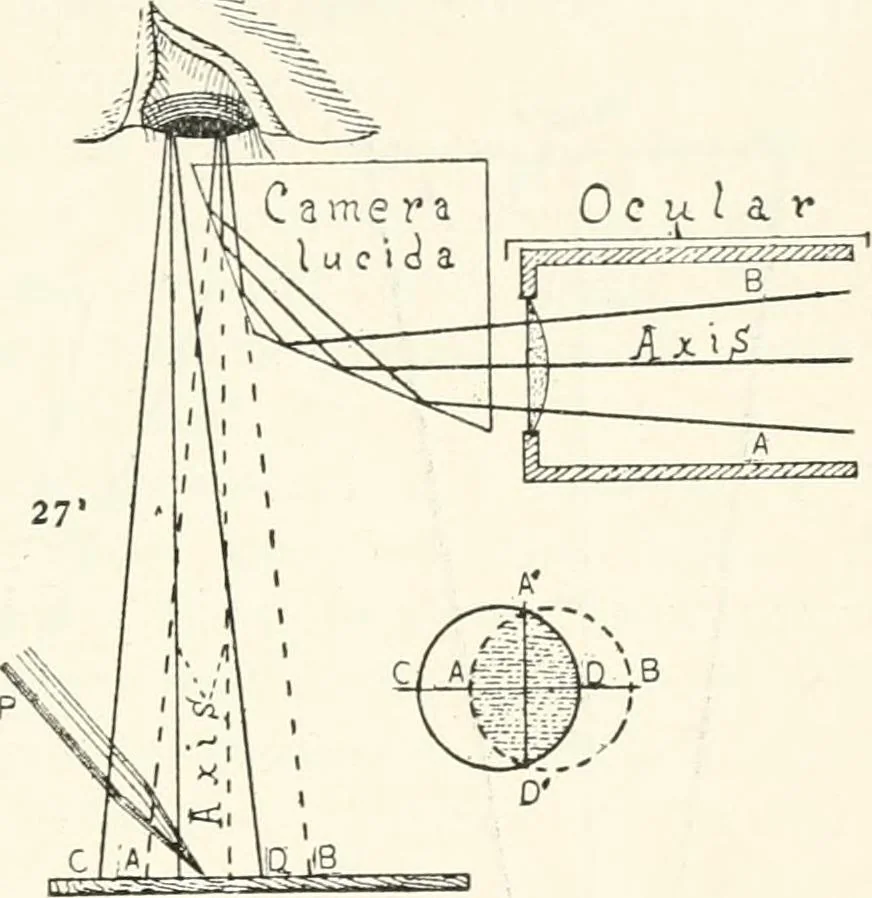 An illustration from The microscope : an introduction to microscopic methods and to histology, 1911, leaf 118