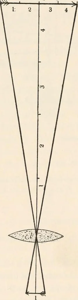 An illustration from The microscope : an introduction to microscopic methods and to histology, 1911, leaf 119