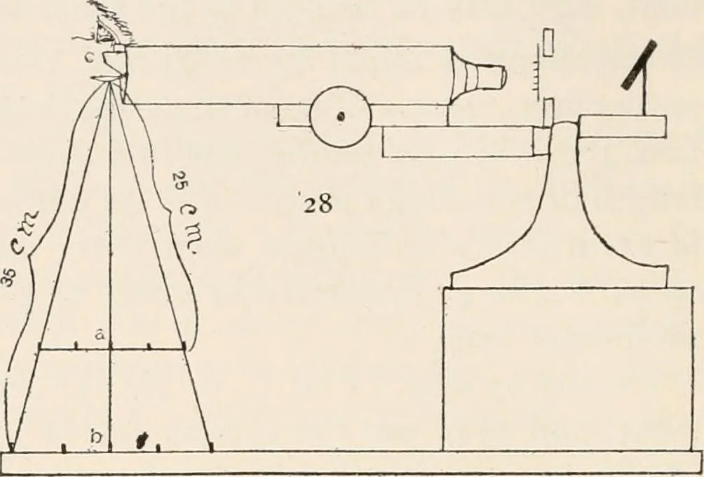 An illustration from The microscope : an introduction to microscopic methods and to histology, 1911, leaf 121