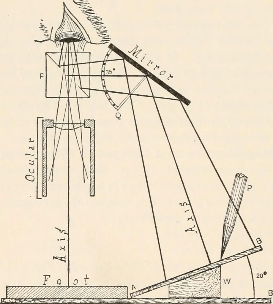 An illustration from The microscope : an introduction to microscopic methods and to histology, 1911, leaf 121
