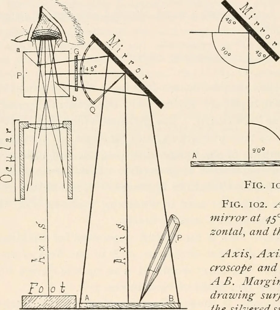 An illustration from The microscope : an introduction to microscopic methods and to histology, 1911, leaf 133