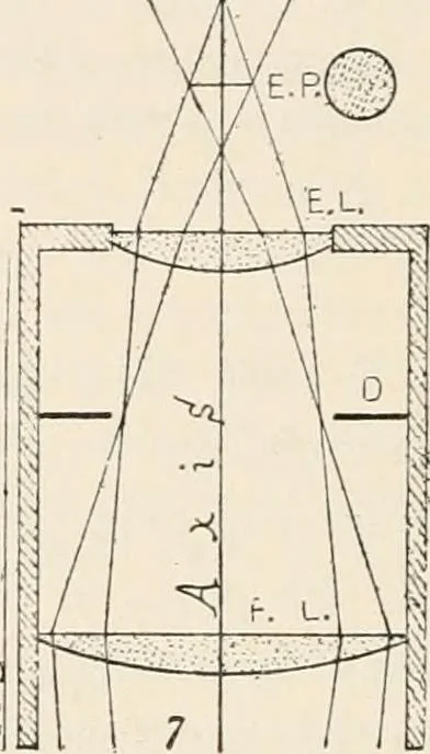 An illustration from The microscope : an introduction to microscopic methods and to histology, 1911, leaf 133