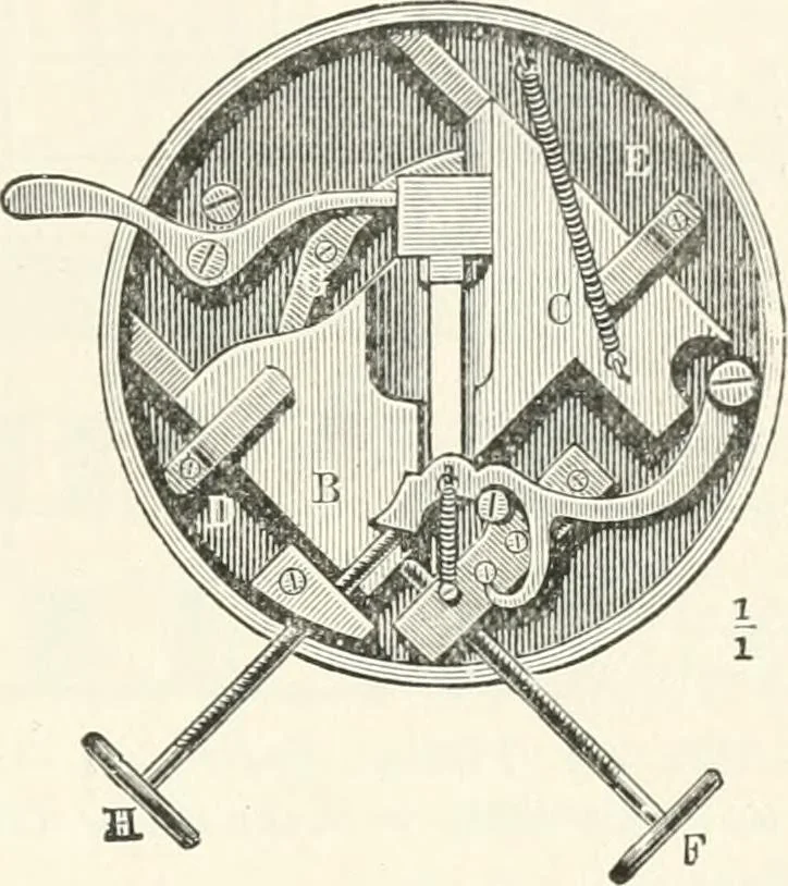 An illustration from The microscope : an introduction to microscopic methods and to histology, 1911, leaf 144