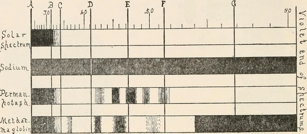 An illustration from The microscope : an introduction to microscopic methods and to histology, 1911, leaf 145