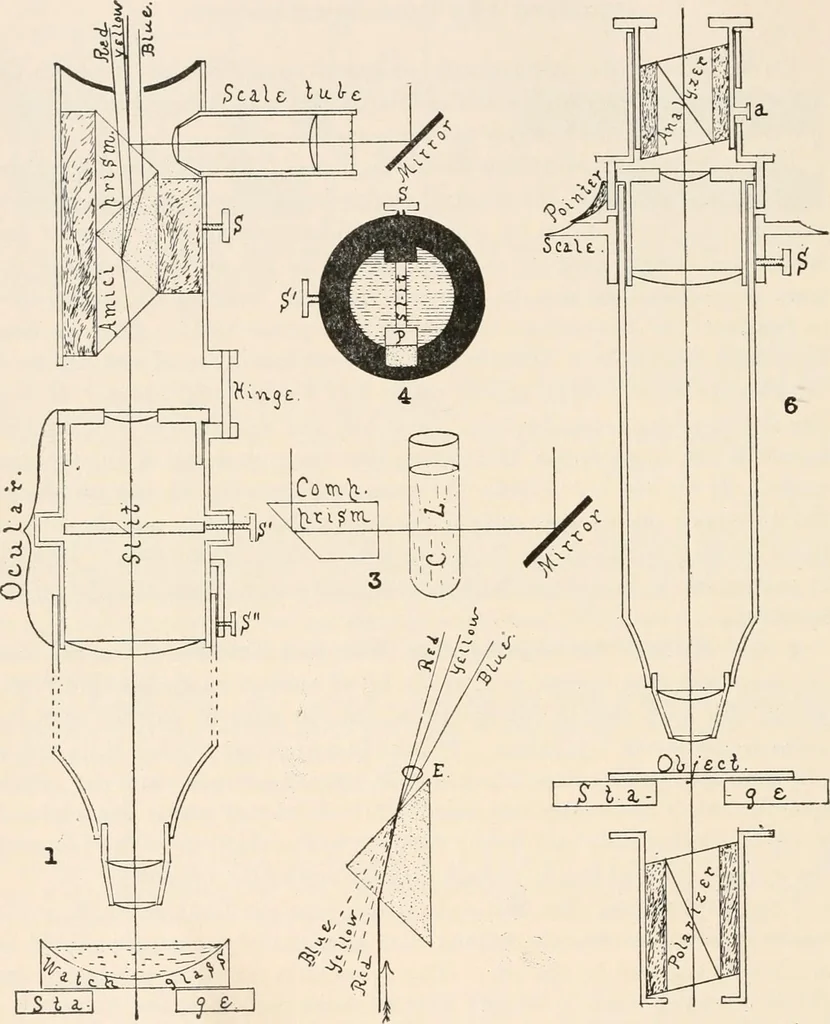 An illustration from The microscope : an introduction to microscopic methods and to histology, 1911, leaf 149