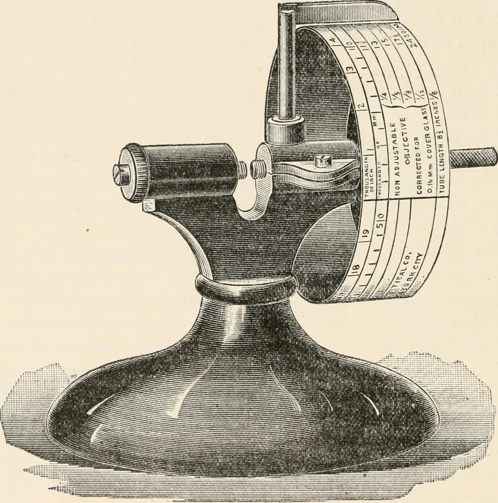 An illustration from The microscope : an introduction to microscopic methods and to histology, 1911, leaf 167