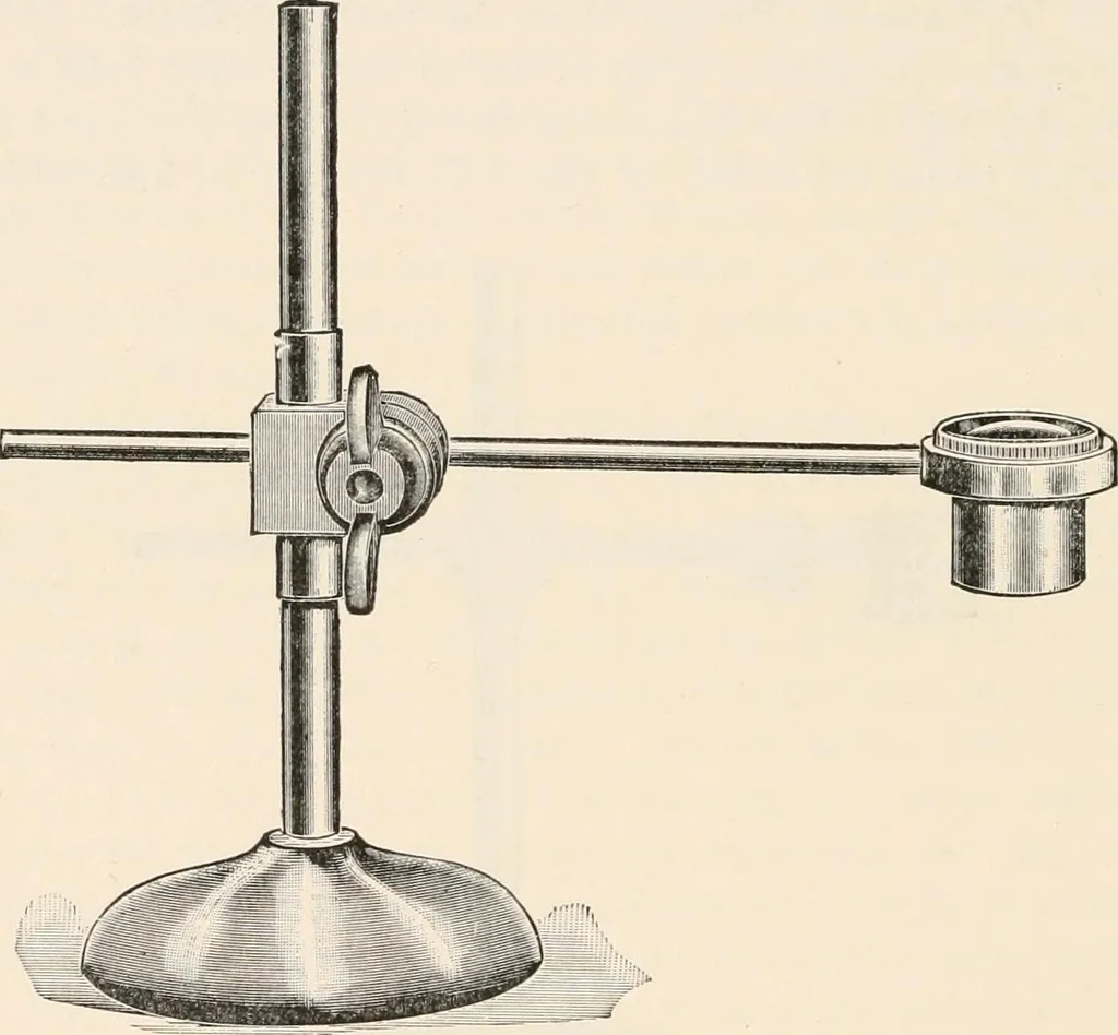 An illustration from The microscope : an introduction to microscopic methods and to histology, 1911, leaf 179