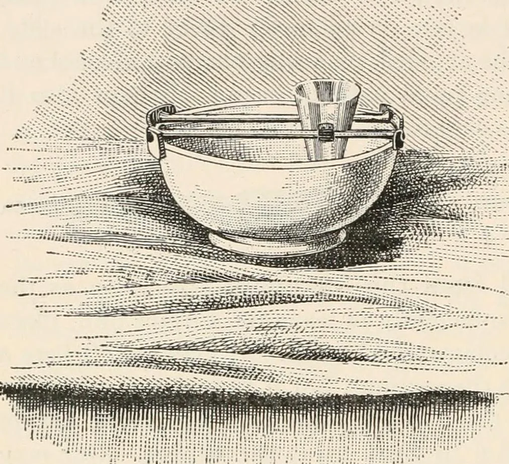 An illustration from The microscope : an introduction to microscopic methods and to histology, 1911, leaf 185