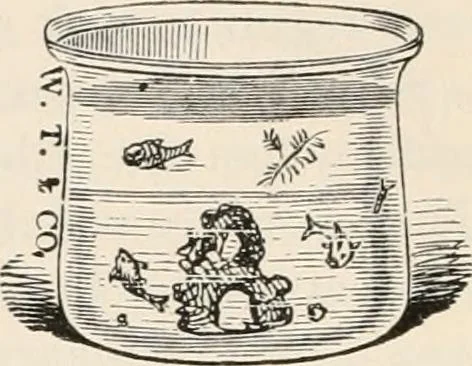 An illustration from The microscope : an introduction to microscopic methods and to histology, 1911, leaf 185