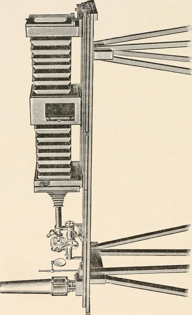 An illustration from The microscope : an introduction to microscopic methods and to histology, 1911, leaf 209