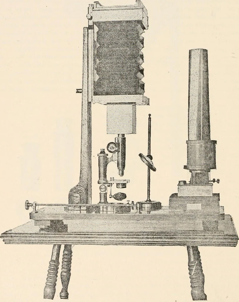 An illustration from The microscope : an introduction to microscopic methods and to histology, 1911, leaf 213