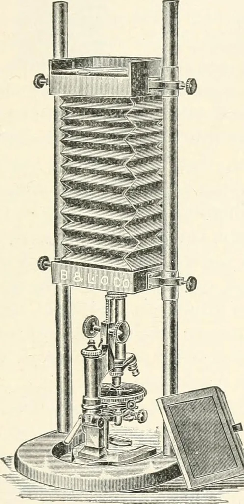 An illustration from The microscope : an introduction to microscopic methods and to histology, 1911, leaf 216