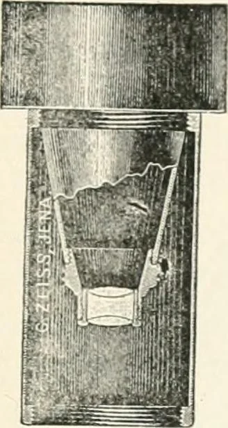An illustration from The microscope : an introduction to microscopic methods and to histology, 1911, leaf 218
