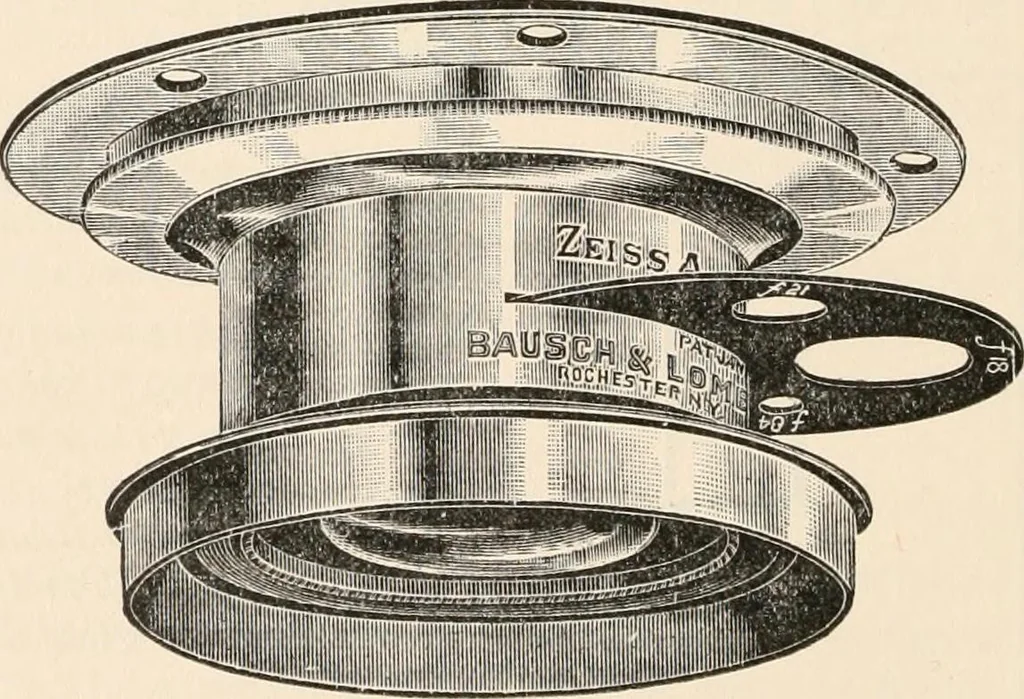 An illustration from The microscope : an introduction to microscopic methods and to histology, 1911, leaf 219