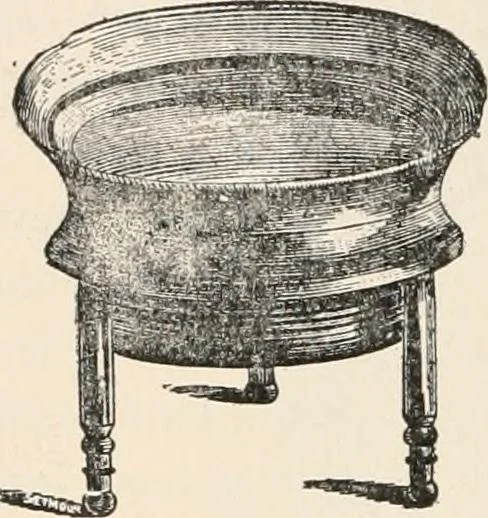 An illustration from The microscope : an introduction to microscopic methods and to histology, 1911, leaf 221