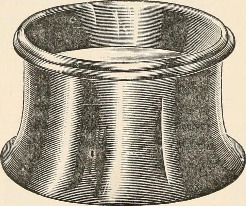 An illustration from The microscope : an introduction to microscopic methods and to histology, 1911, leaf 221