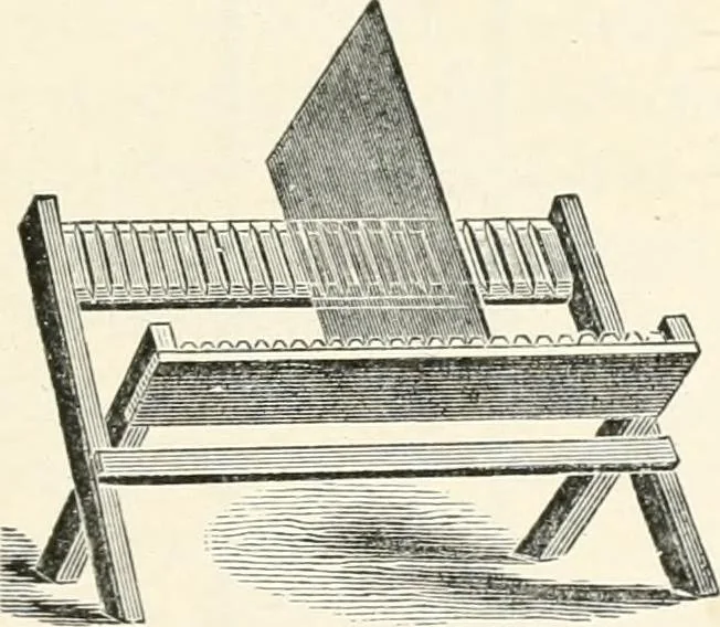 An illustration from The microscope : an introduction to microscopic methods and to histology, 1911, leaf 228