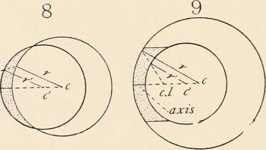 An illustration from The microscope : an introduction to microscopic methods and to histology, 1911, leaf 23