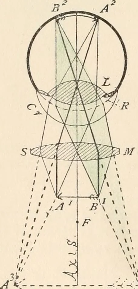 An illustration from The microscope : an introduction to microscopic methods and to histology, 1911, leaf 27