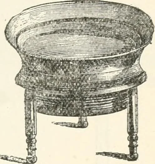 An illustration from The microscope : an introduction to microscopic methods and to histology, 1911, leaf 28