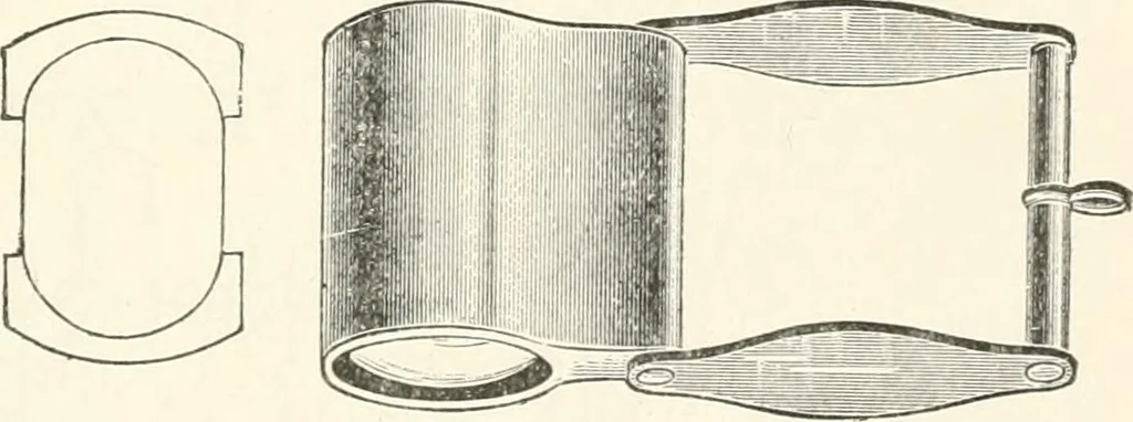 An illustration from The microscope : an introduction to microscopic methods and to histology, 1911, leaf 28