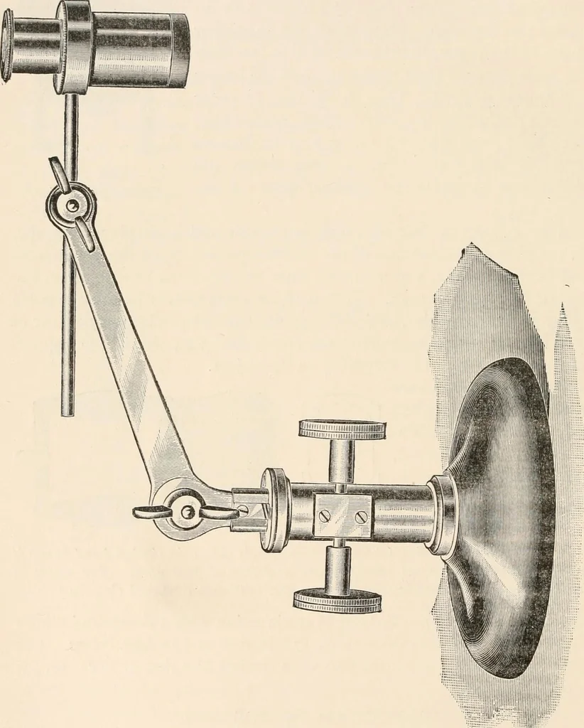 An illustration from The microscope : an introduction to microscopic methods and to histology, 1911, leaf 29