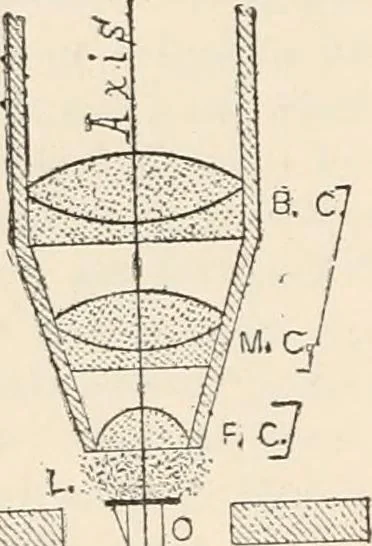 An illustration from The microscope : an introduction to microscopic methods and to histology, 1911, leaf 33
