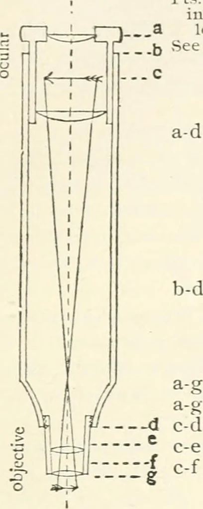 An illustration from The microscope : an introduction to microscopic methods and to histology, 1911, leaf 36
