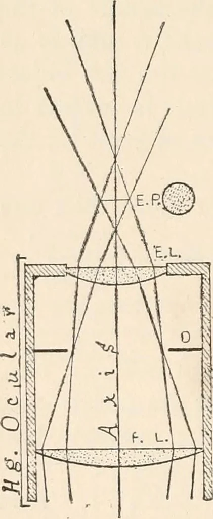 An illustration from The microscope : an introduction to microscopic methods and to histology, 1911, leaf 43