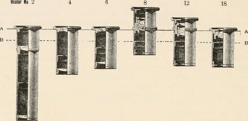 An illustration from The microscope : an introduction to microscopic methods and to histology, 1911, leaf 45