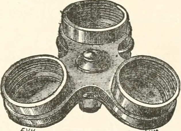 An illustration from The microscope : an introduction to microscopic methods and to histology, 1911, leaf 48