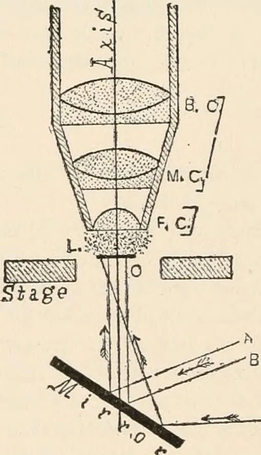 An illustration from The microscope : an introduction to microscopic methods and to histology, 1911, leaf 55