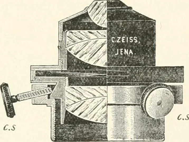 An illustration from The microscope : an introduction to microscopic methods and to histology, 1911, leaf 62