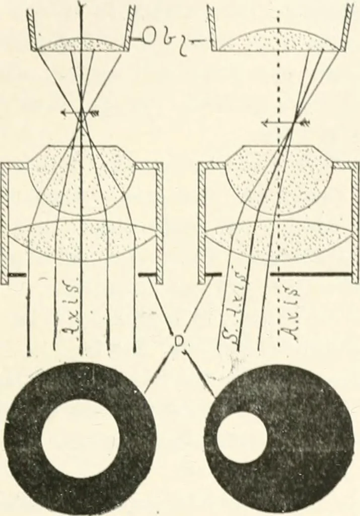 An illustration from The microscope : an introduction to microscopic methods and to histology, 1911, leaf 68