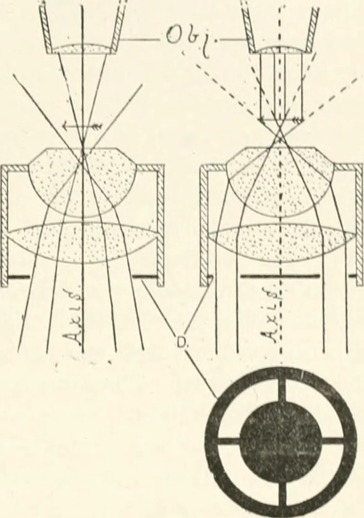 An illustration from The microscope : an introduction to microscopic methods and to histology, 1911, leaf 68
