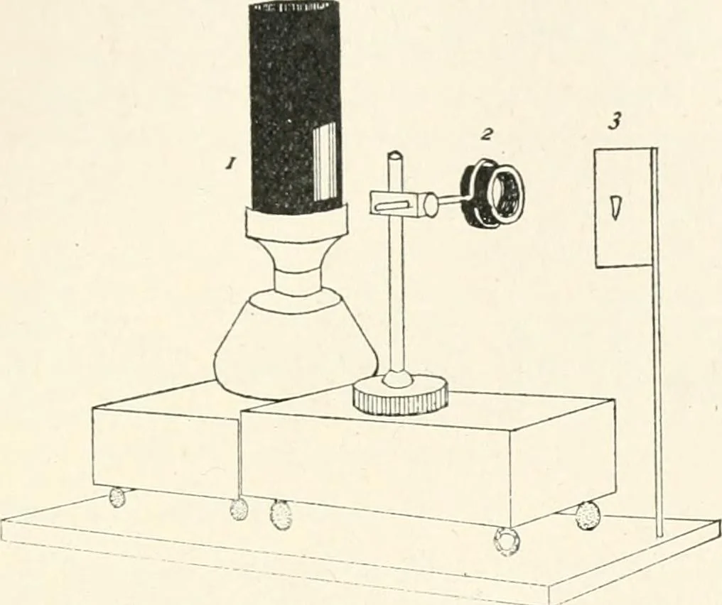 An illustration from The microscope : an introduction to microscopic methods and to histology, 1911, leaf 70