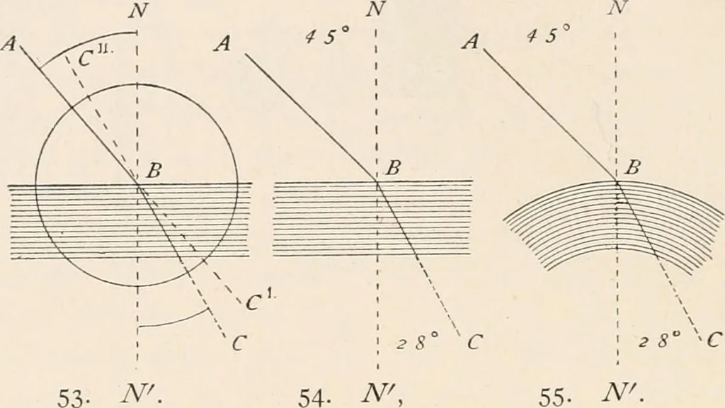 An illustration from The microscope : an introduction to microscopic methods and to histology, 1911, leaf 71