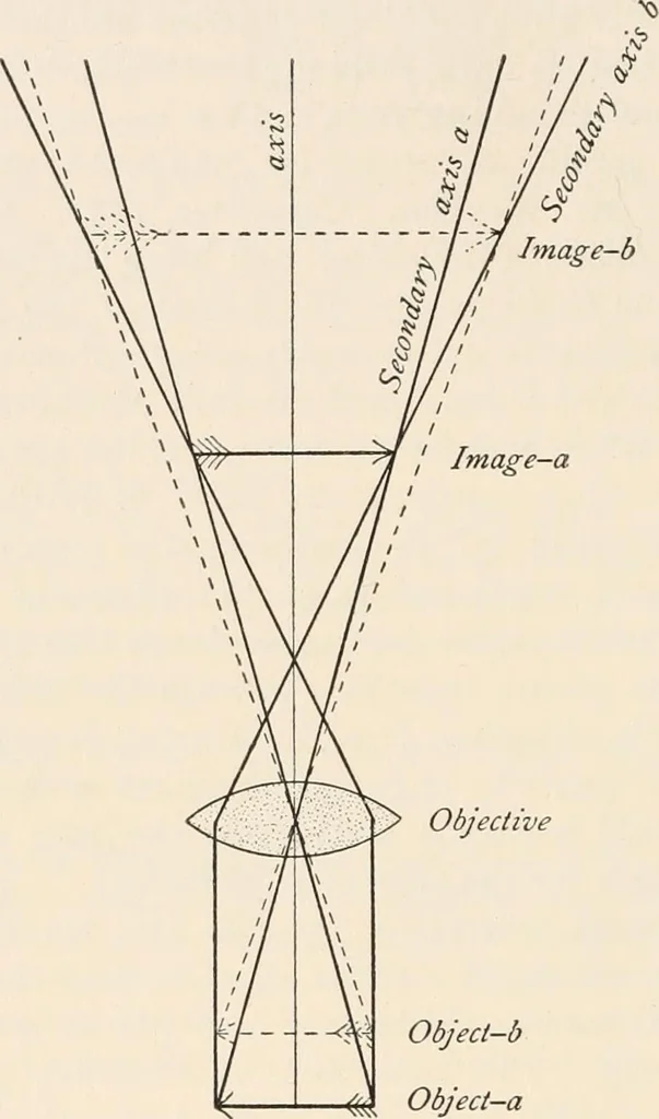 An illustration from The microscope : an introduction to microscopic methods and to histology, 1911, leaf 75