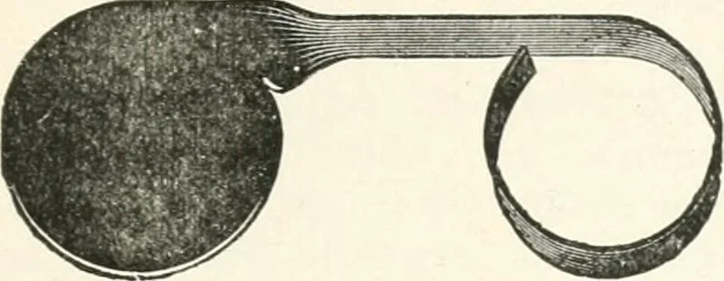 An illustration from The microscope : an introduction to microscopic methods and to histology, 1911, leaf 80