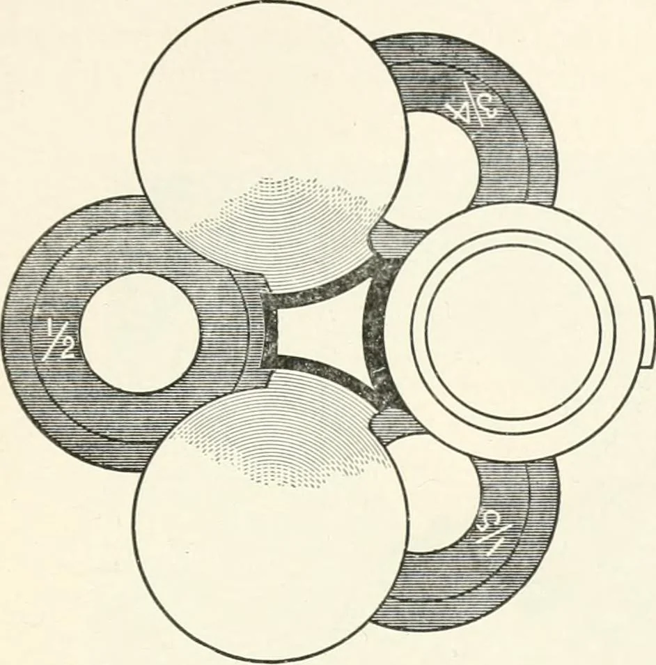 An illustration from The microscope : an introduction to microscopic methods and to histology, 1911, leaf 86