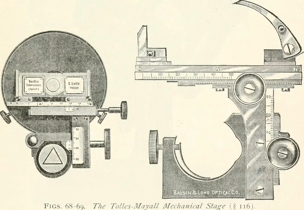 An illustration from The microscope : an introduction to microscopic methods and to histology, 1911, leaf 86