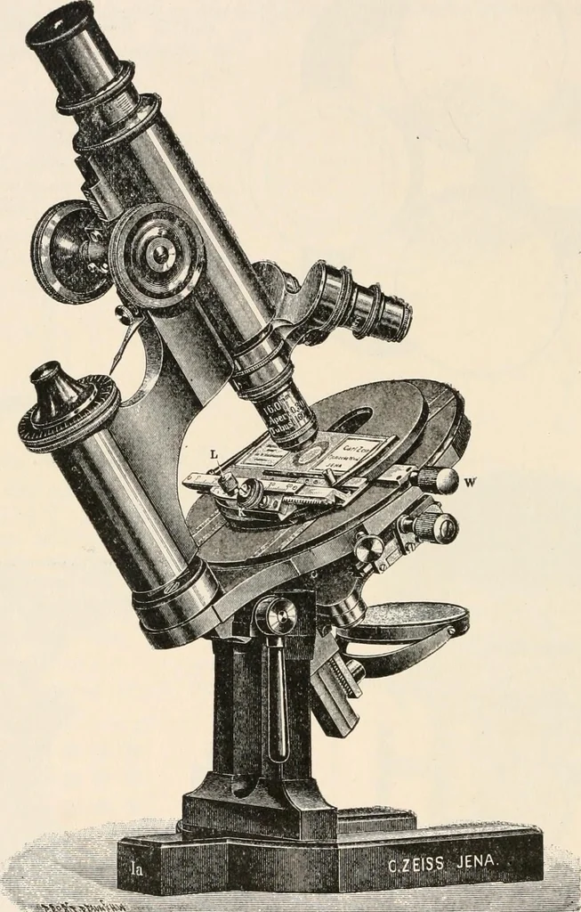 An illustration from The microscope : an introduction to microscopic methods and to histology, 1911, leaf 87