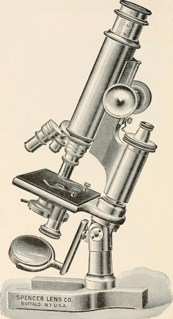 An illustration from The microscope : an introduction to microscopic methods and to histology, 1911, leaf 89