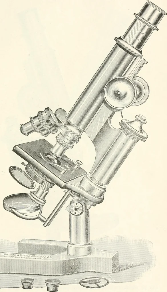 An illustration from The microscope : an introduction to microscopic methods and to histology, 1911, leaf 92