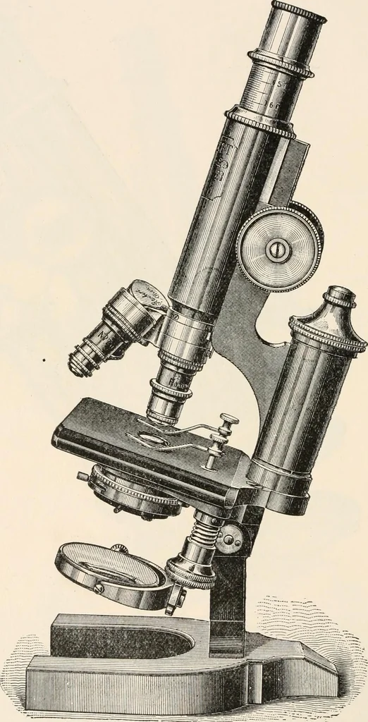 An illustration from The microscope : an introduction to microscopic methods and to histology, 1911, leaf 93