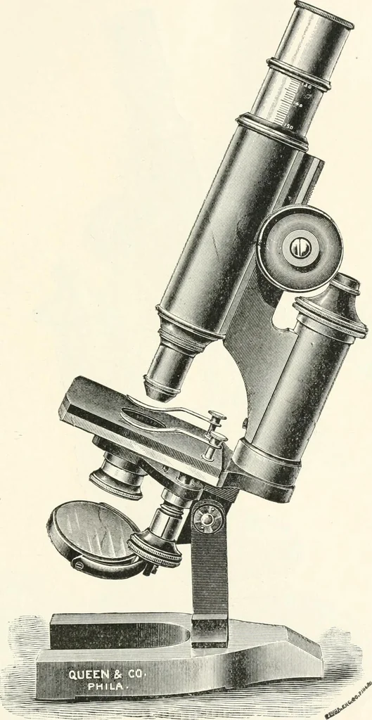 An illustration from The microscope : an introduction to microscopic methods and to histology, 1911, leaf 94