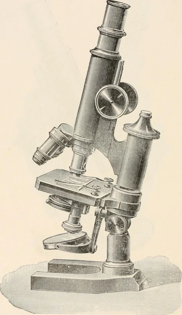 An illustration from The microscope : an introduction to microscopic methods and to histology, 1911, leaf 95