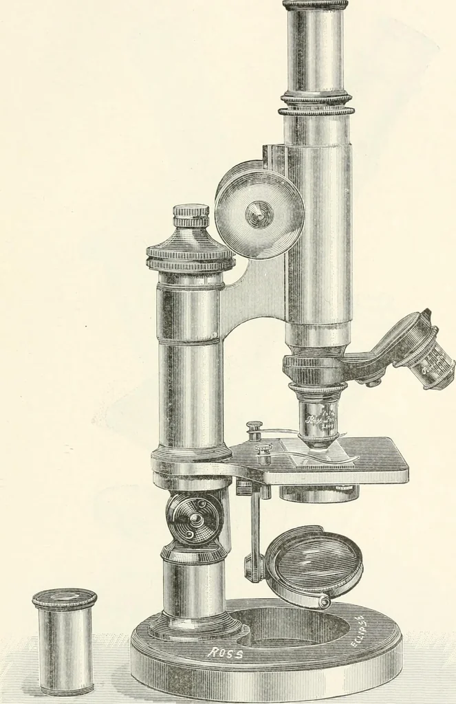 An illustration from The microscope : an introduction to microscopic methods and to histology, 1911, leaf 96