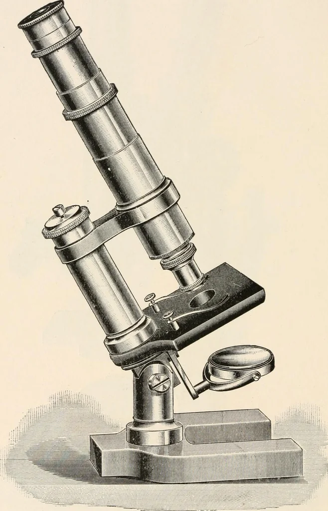 An illustration from The microscope : an introduction to microscopic methods and to histology, 1911, leaf 97