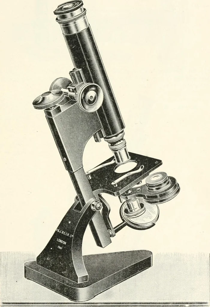 An illustration from The microscope : an introduction to microscopic methods and to histology, 1911, leaf 98
